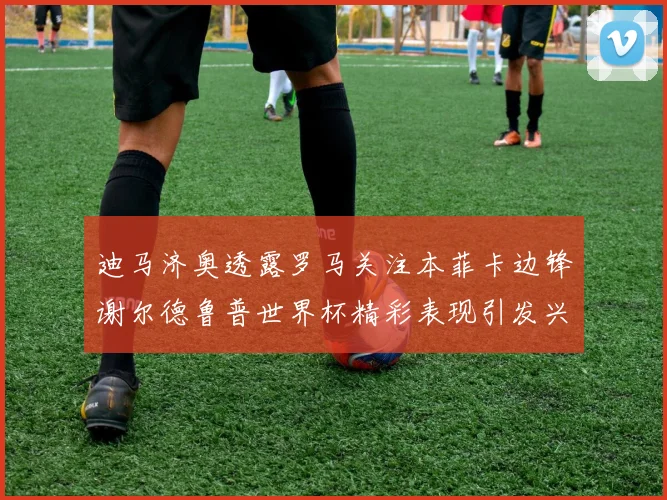 迪马济奥透露罗马关注本菲卡边锋谢尔德鲁普世界杯精彩表现引发兴趣