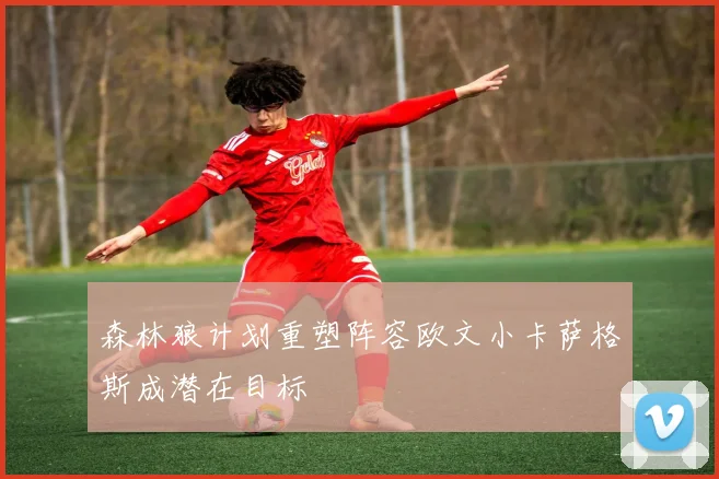 森林狼计划重塑阵容欧文小卡萨格斯成潜在目标