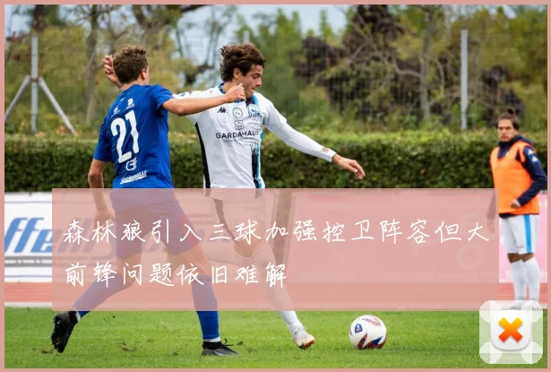 森林狼引入三球加强控卫阵容但大前锋问题依旧难解