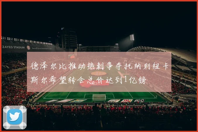 德泽尔比推动热刺争夺托纳利纽卡斯尔希望转会总价达到1亿镑